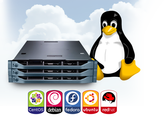 Fully Managed Linux VPS Hosting